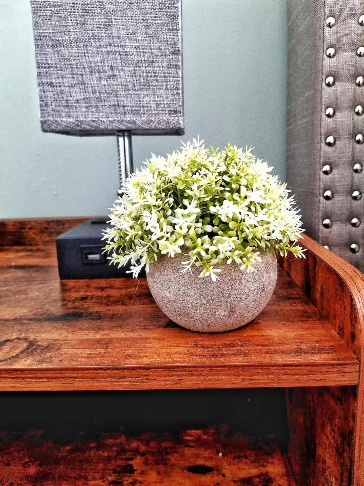 City House Atlantic City Main image 2